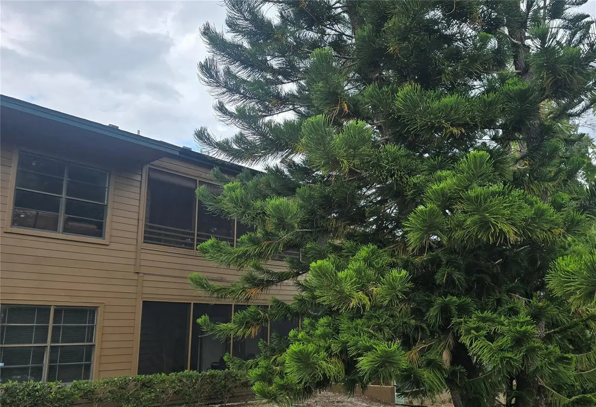 406 Lennox Road W, Palm Harbor, FL 34683 - #1