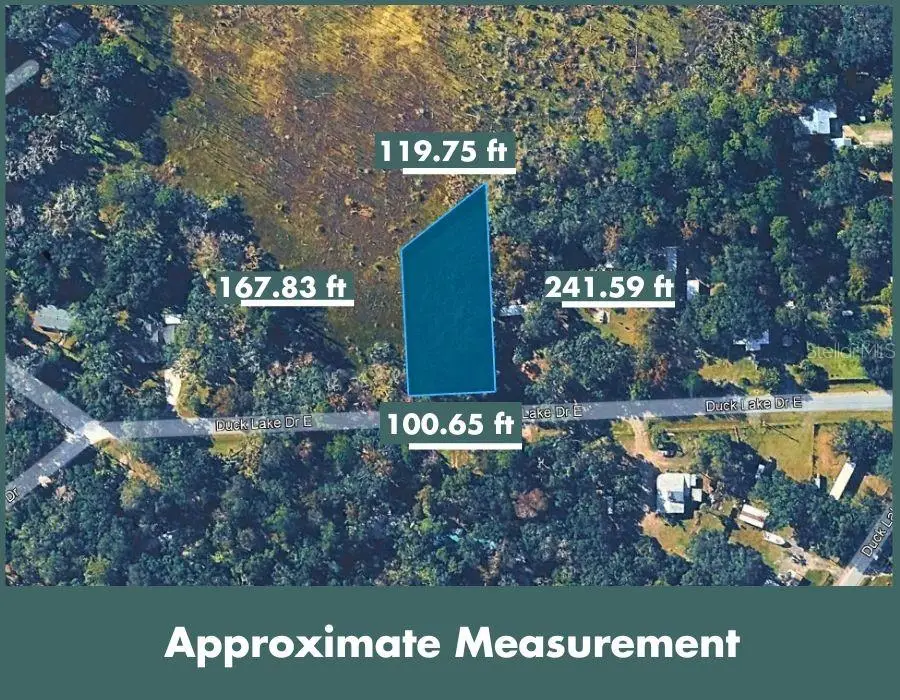 Duck Lake Drive, Fernandina Beach, FL 32034 - #3
