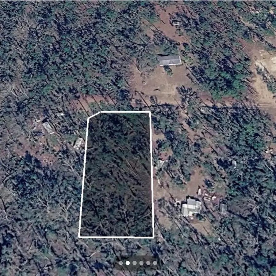 Dove Lane, Perry, FL 32348 - #2