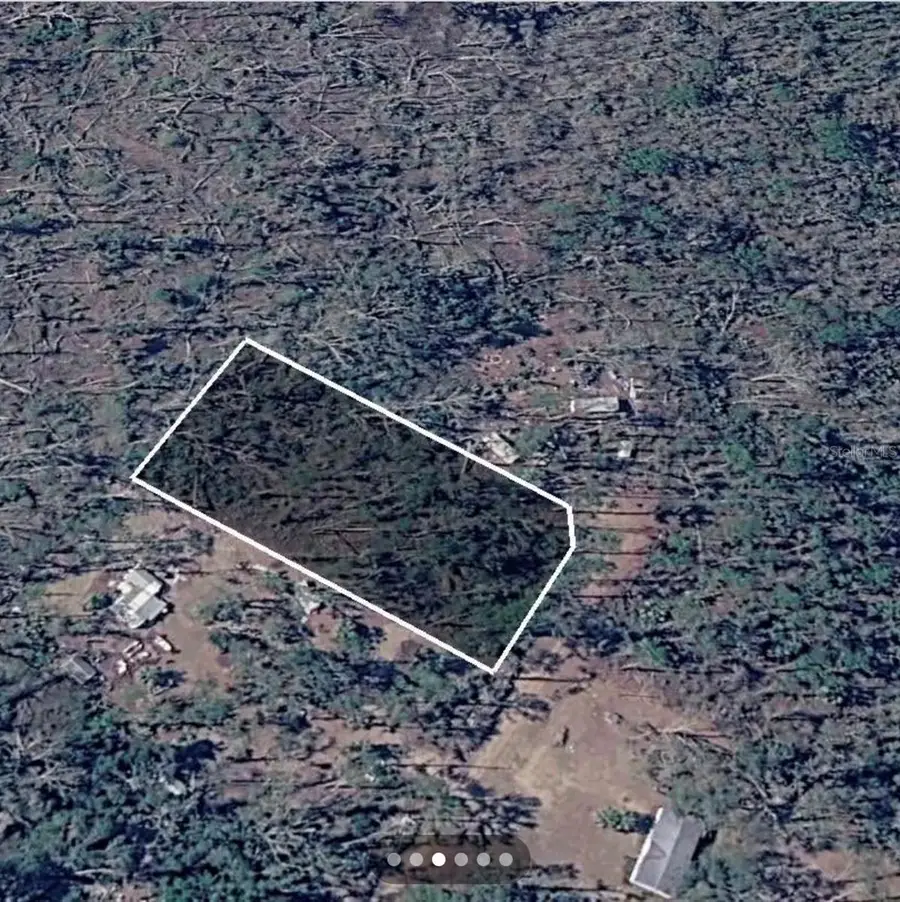 Dove Lane, Perry, FL 32348 - #3