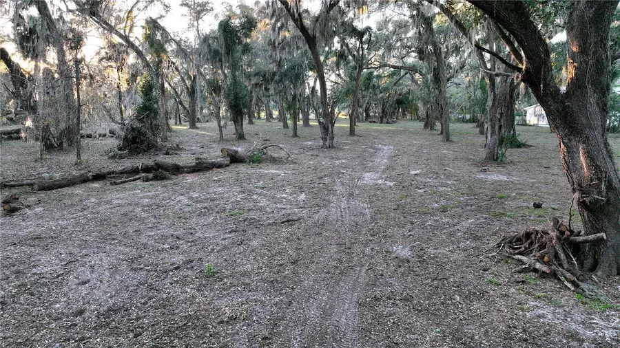 Muck Pond Road, Seffner, FL 33584 - #3