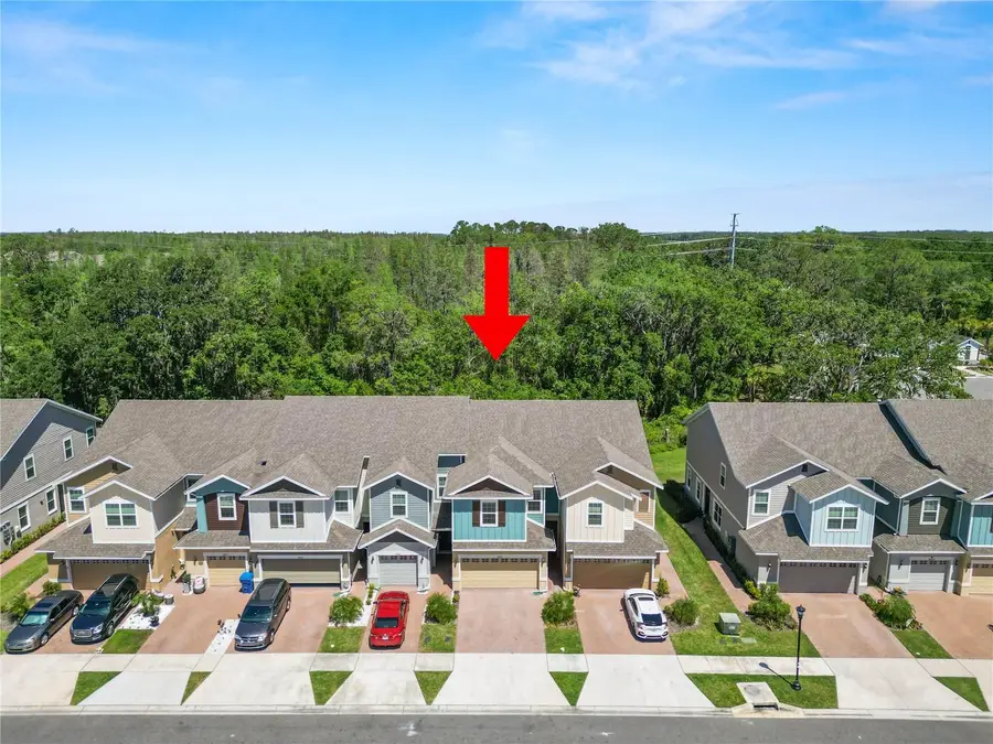 34187 Cinder Way, Wesley Chapel, FL 33545 - #2