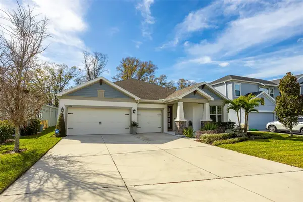4914 Lakeshore Oaks Court, TAMPA, FL 33624