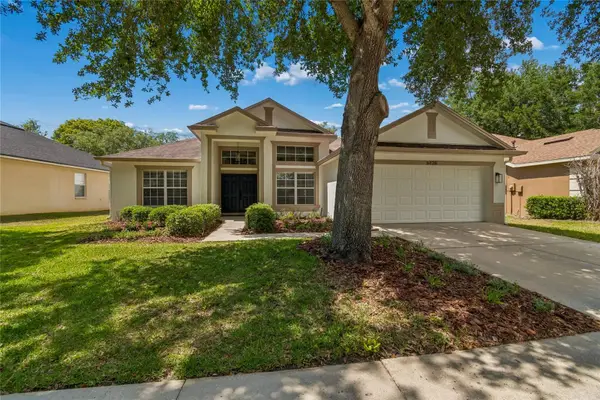 6128 Whimbrelwood Drive, LITHIA, FL 33547