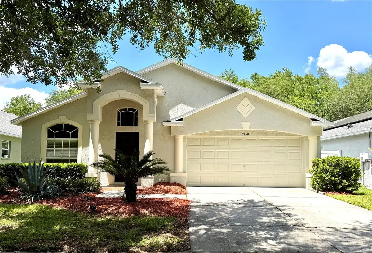 10450 Lucaya Drive, Tampa, FL 33647 - #1