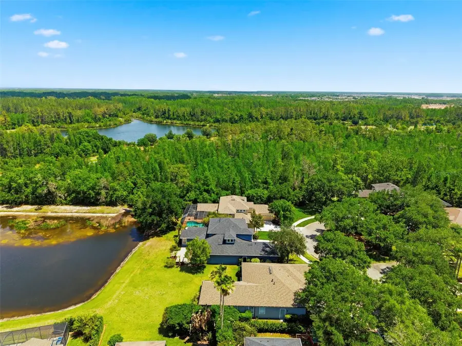 20629 Wild Plum Court, Land O Lakes, FL 34637 - #2
