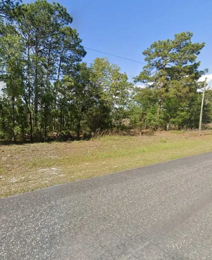 425 W Homeway Loop, Citrus Springs, FL 34434 - #2