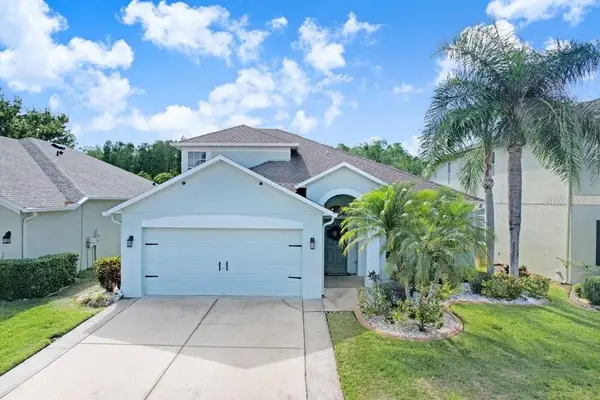 3915 Duke Firth Street, LAND O LAKES, FL 34638