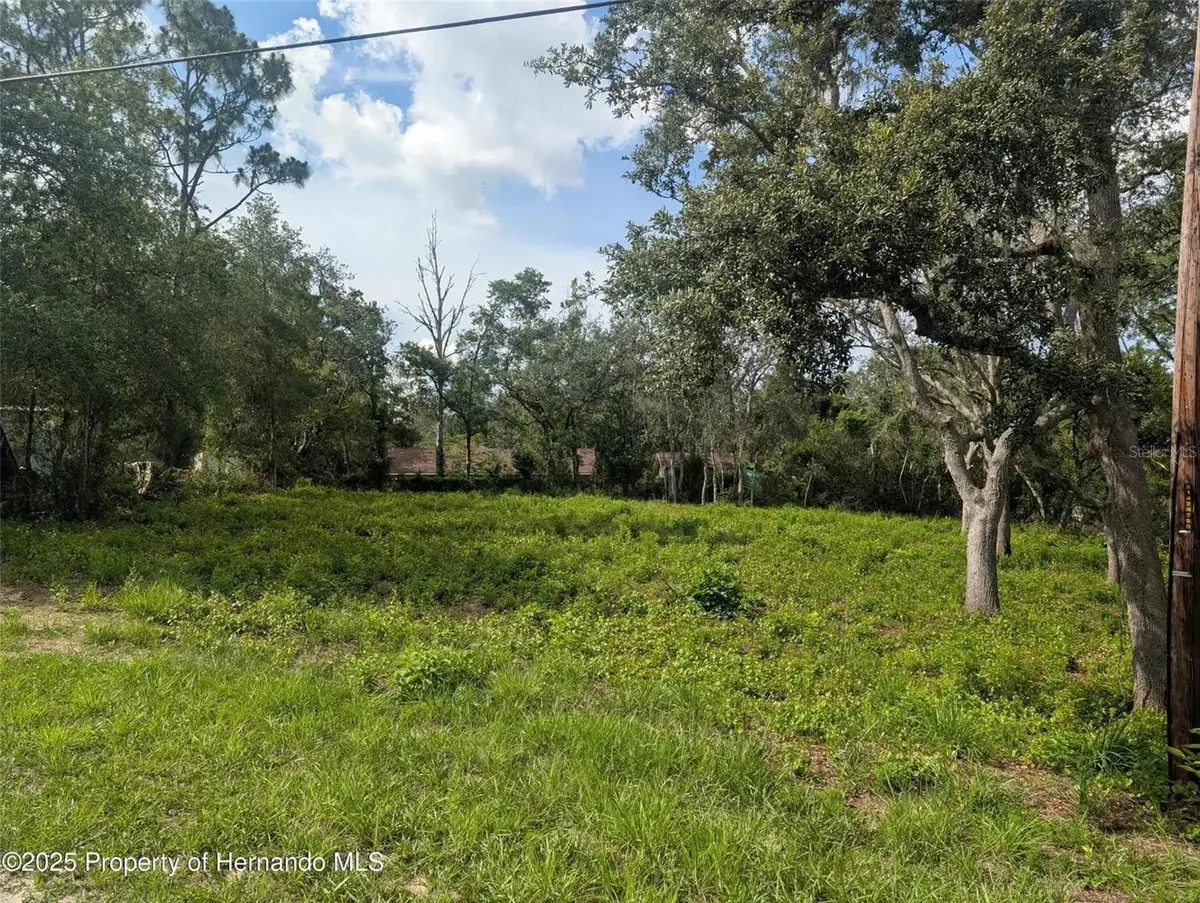 0 Merlin Circle, Dade City, FL 33523 - #1