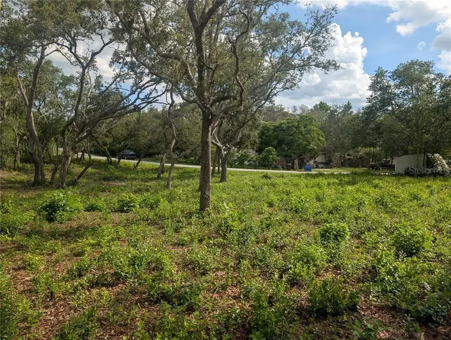 0 Merlin Circle, Dade City, FL 33523 - #3