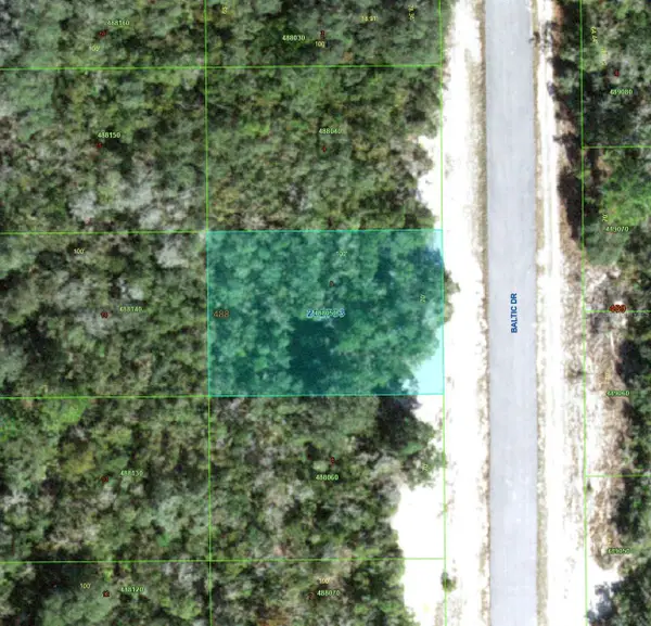 1238 Baltic Drive, KISSIMMEE, FL 34759