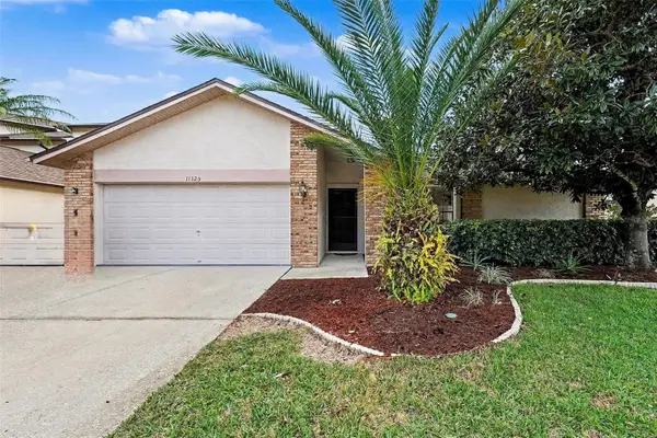 11325 Glenmont Drive, TAMPA, FL 33635