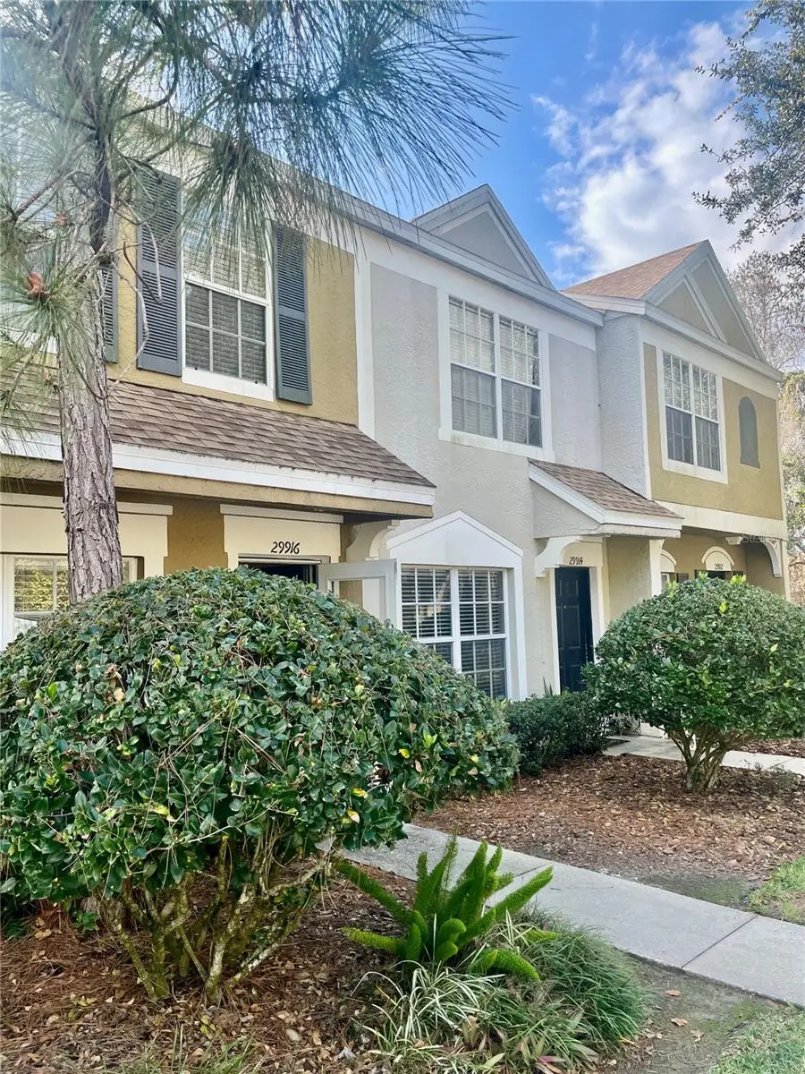 29916 Alta Vita Lane, Wesley Chapel, FL 33543 - #1