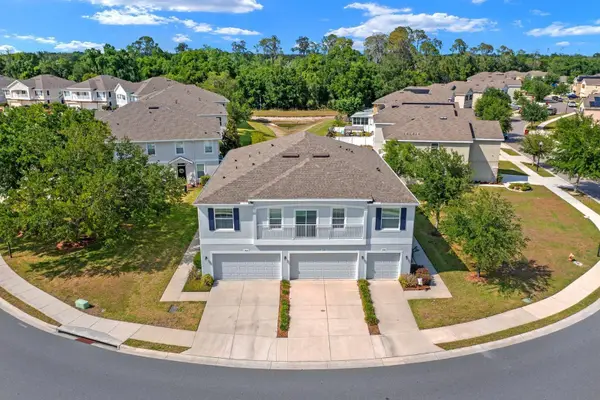 824 Ashentree Drive, PLANT CITY, FL 33563