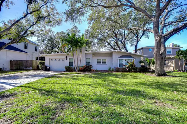 3621 S Belcher Drive, TAMPA, FL 33629