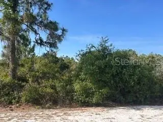 713 (BLK 123 LOTS 15&16) Camellia Drive, INDIAN LAKE ESTATES, FL 33855