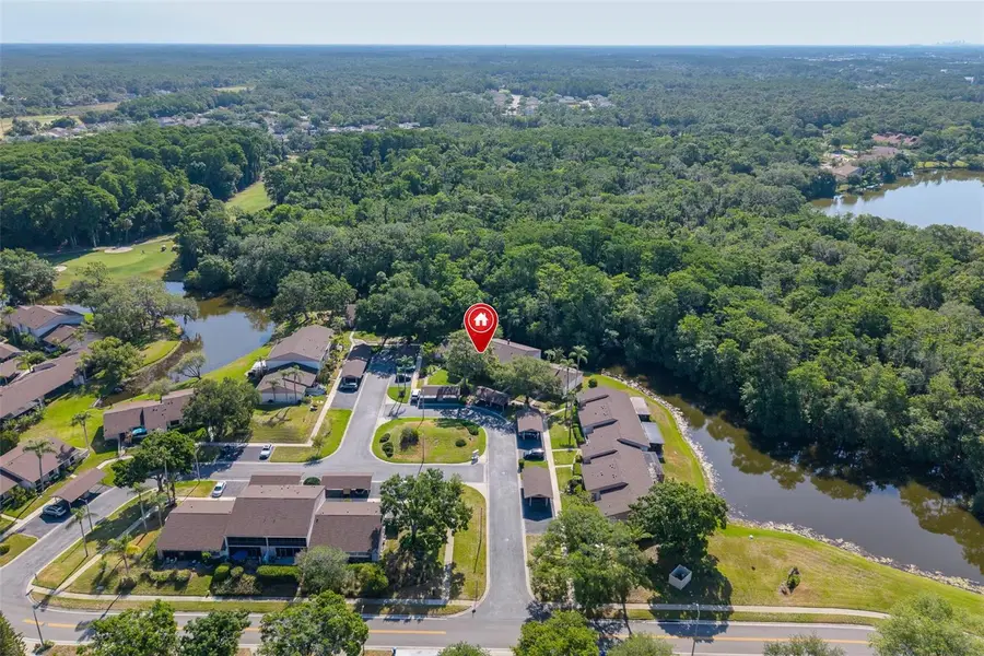 110 Ingrid Place, Oldsmar, FL 34677 - #2