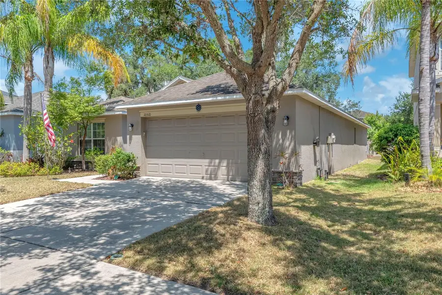 10510 Summer Azure Drive, Riverview, FL 33578 - #2