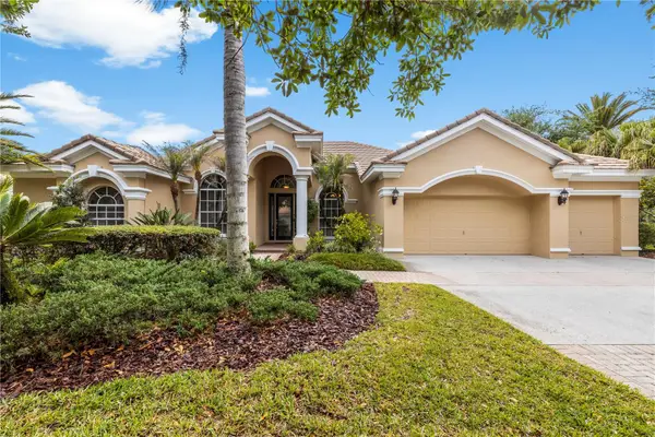 17206 Talence Court, TAMPA, FL 33647