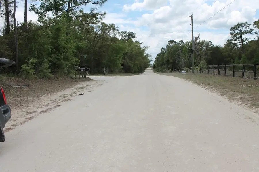 NE 56th Street, Bronson, FL 32621 - #2