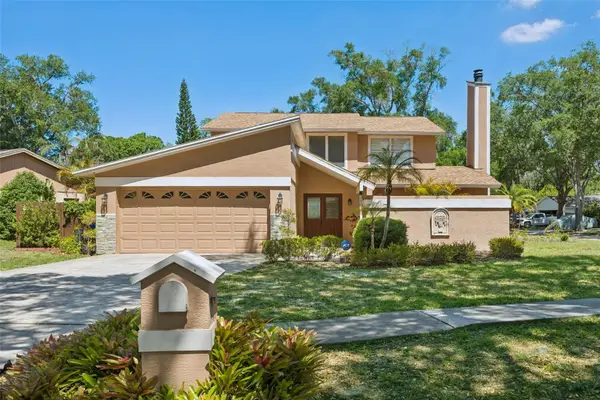 3103 Taragrove Drive, TAMPA, FL 33618