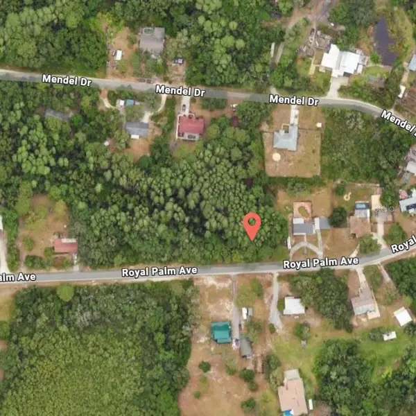 9805 Royal Palm Avenue, NEW PORT RICHEY, FL 34654