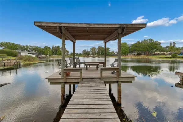 13338 Lake George Lane, TAMPA, FL 33618