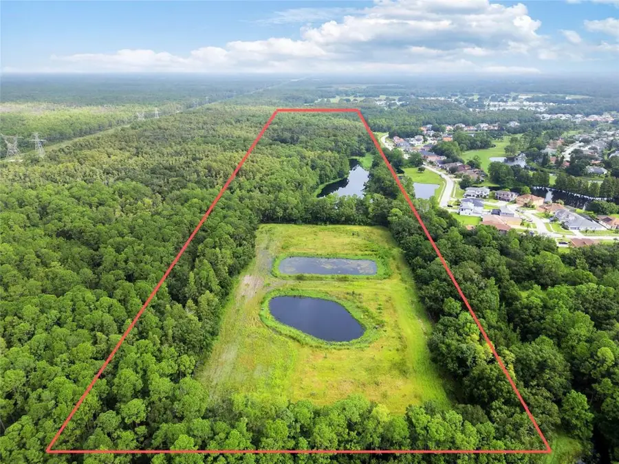 Unplatted, Odessa, FL 33556 - #2