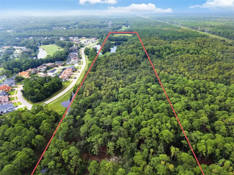 Unplatted, Odessa, FL 33556 - #3