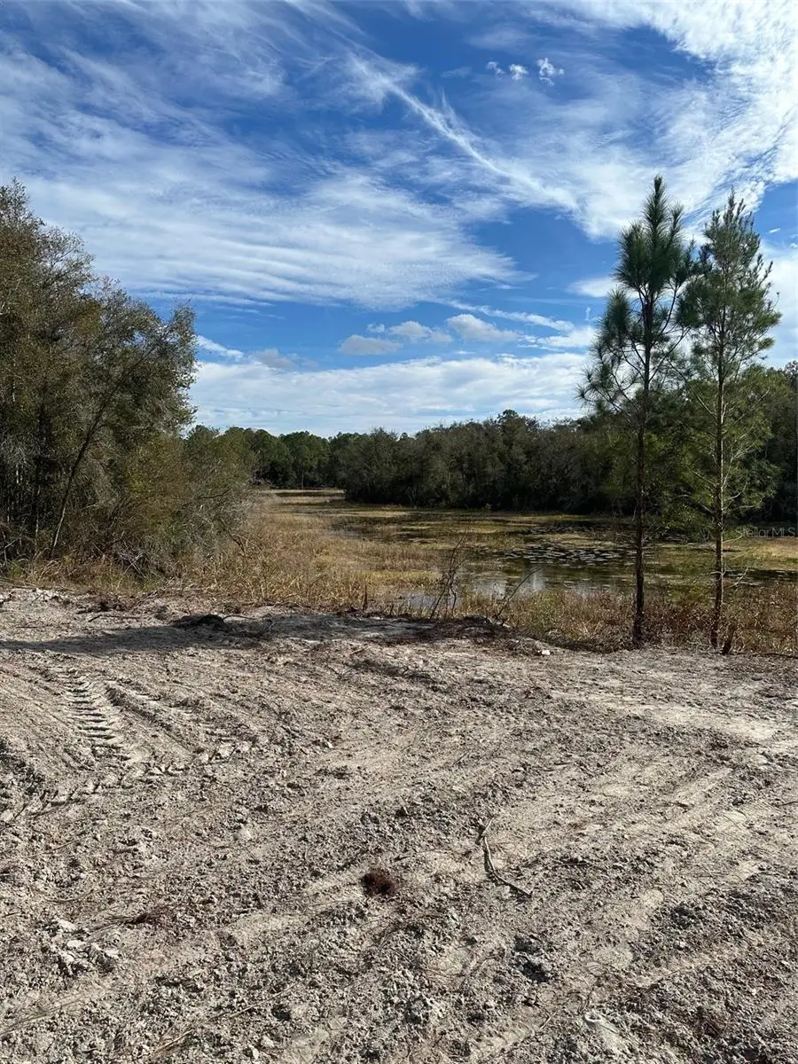Berryhill Drive, Webster, FL 33597 - #1