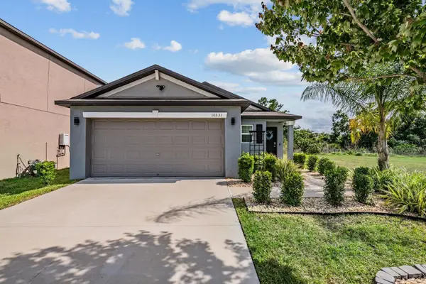 10331 Blue Plume Court, RIVERVIEW, FL 33578