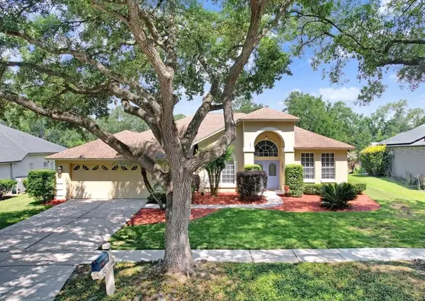 5326 Twin Creeks Drive, VALRICO, FL 33596