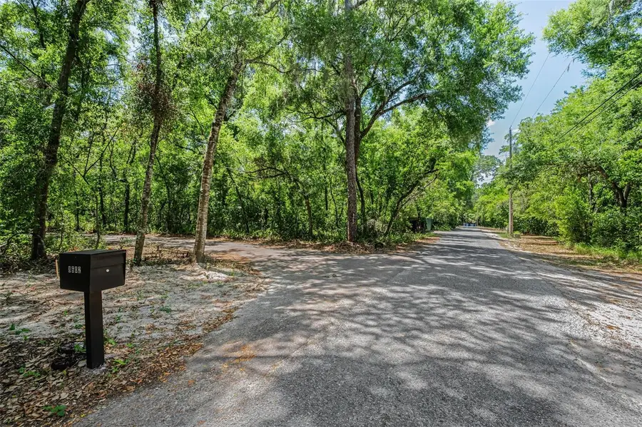 8602 Bonnie Cove Lane, Odessa, FL 33556 - #3