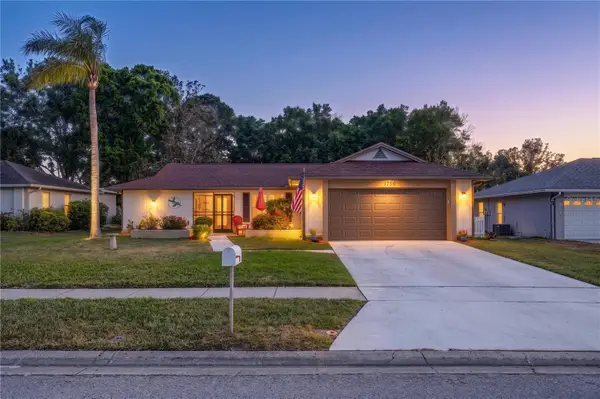 1756 Macdonnell Drive, PALM HARBOR, FL 34684