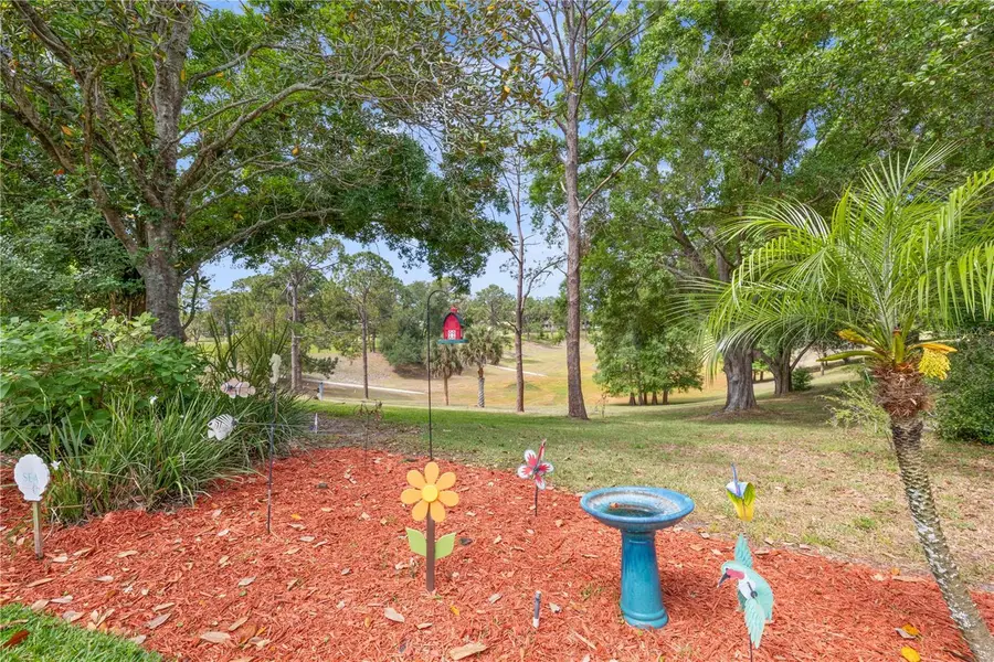 1756 Macdonnell Drive, Palm Harbor, FL 34684 - #2
