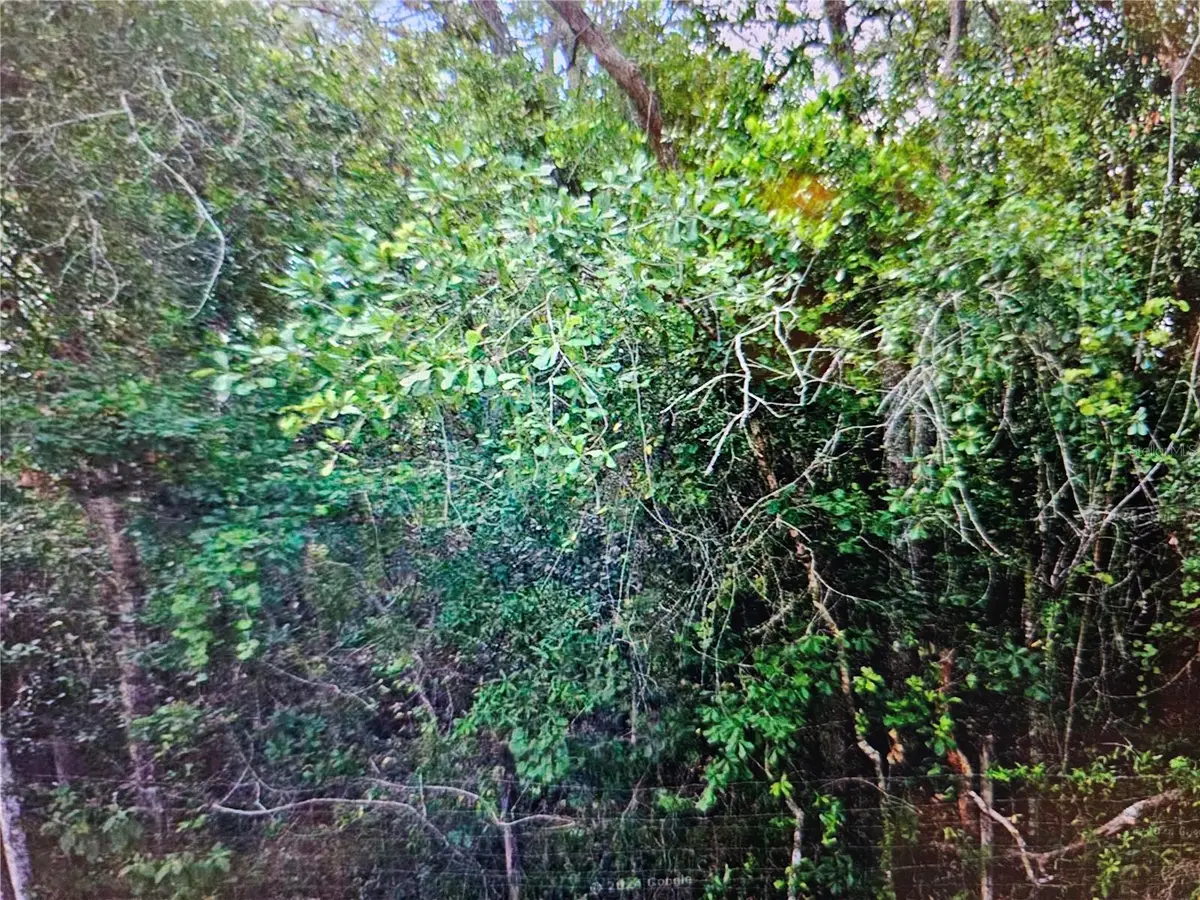 0 Lisbon Street, New Port Richey, FL 34654 - #1