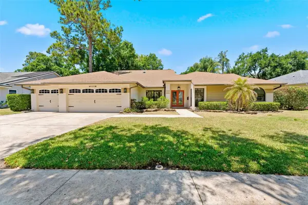 3285 Tarpon Woods Boulevard, PALM HARBOR, FL 34685