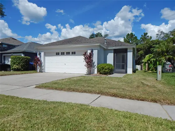 5827 Meadowpark Place, LITHIA, FL 33547