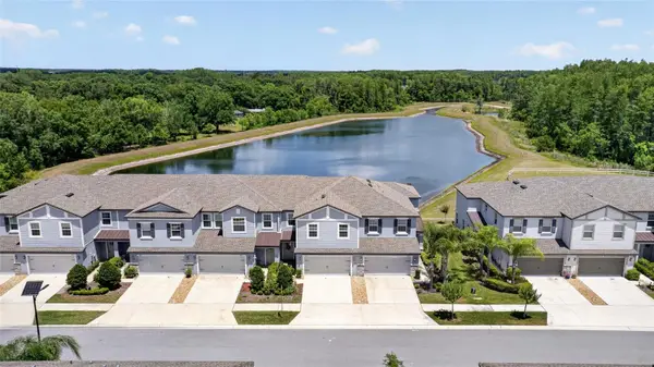 2213 Cerulean Sky Drive, LUTZ, FL 33558