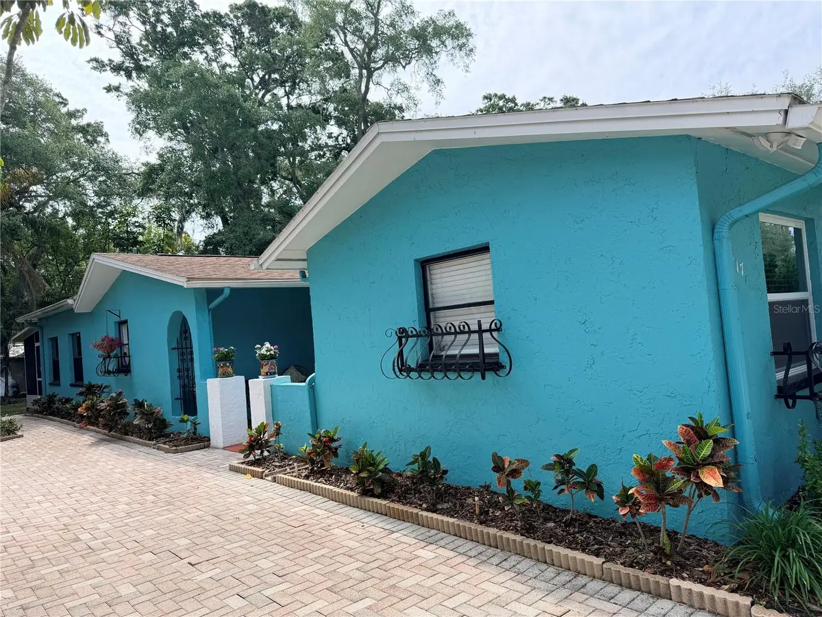 717 Carolina Avenue, Tarpon Springs, FL 34689 - #1