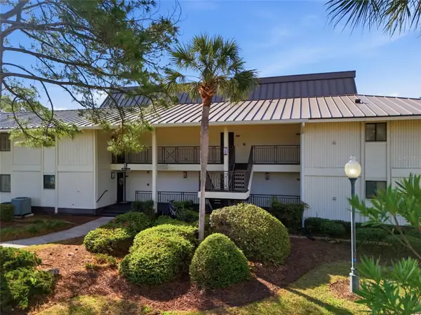29130 Bay Hollow Drive #3312, WESLEY CHAPEL, FL 33543