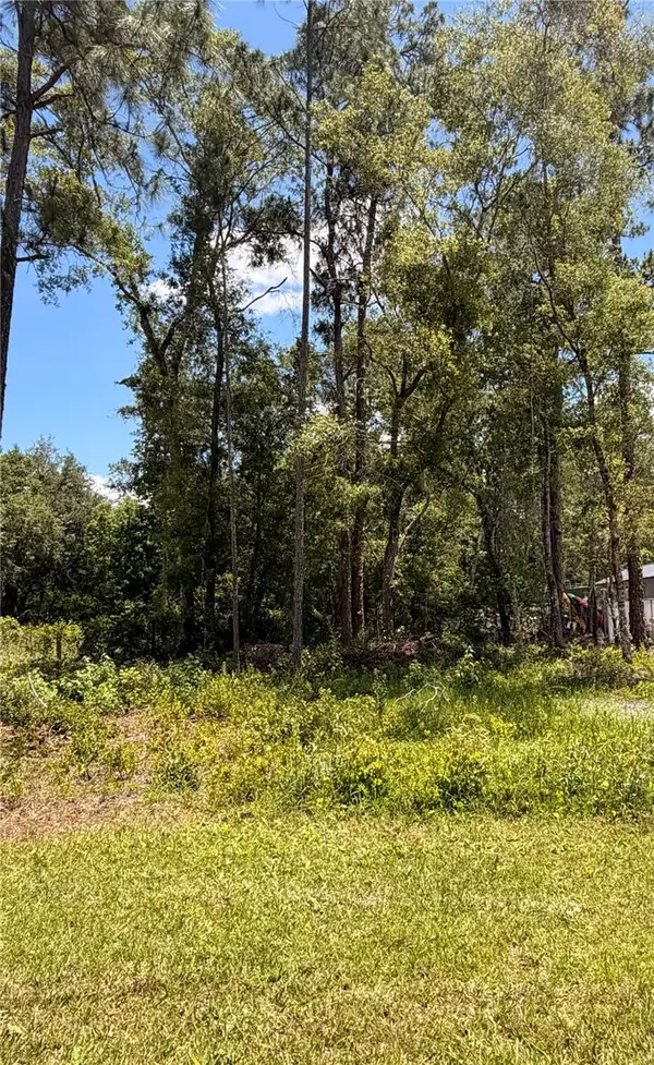6327 Fig Avenue, WEBSTER, FL 33597