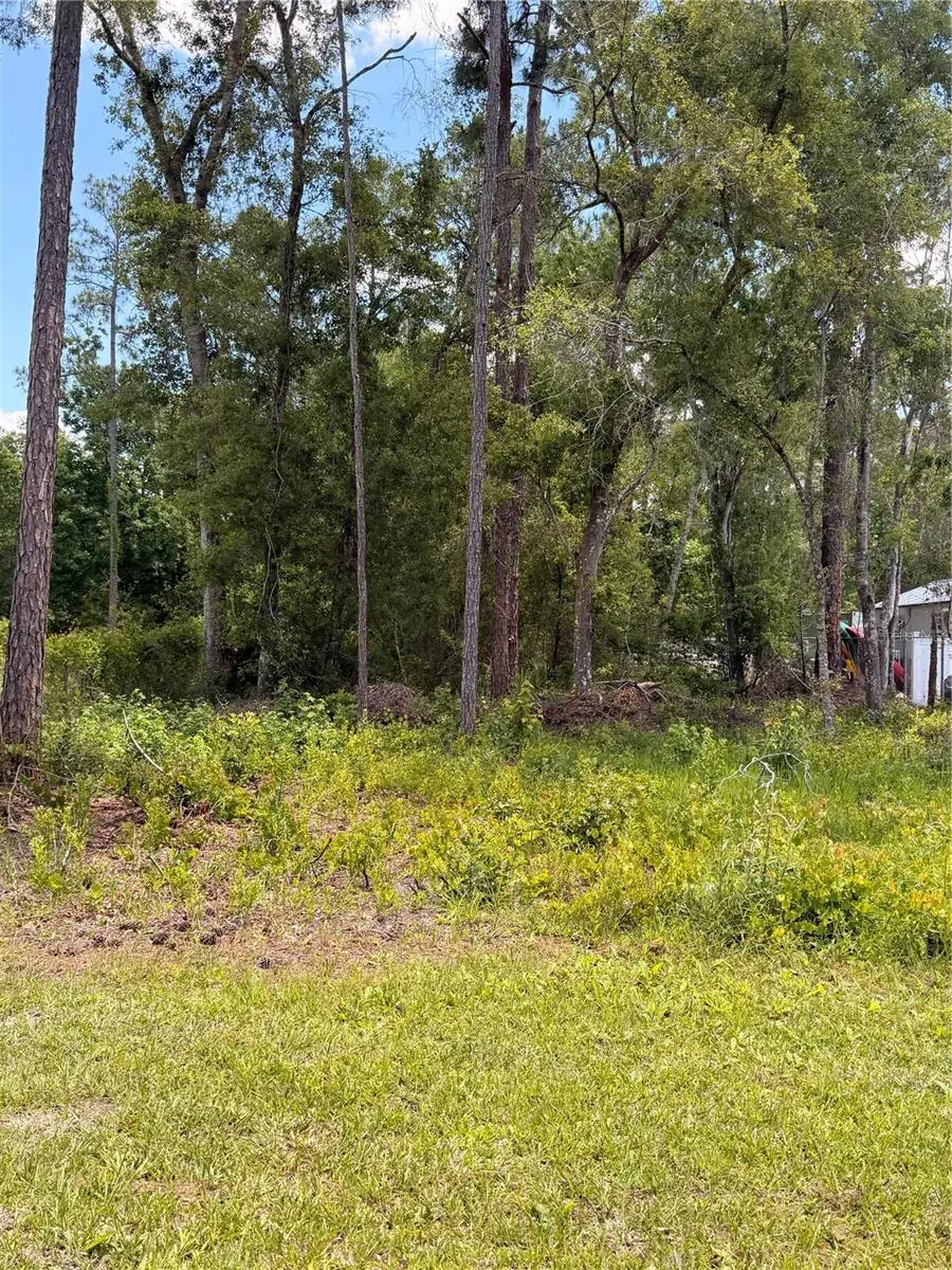 6327 Fig Avenue, Webster, FL 33597 - #2