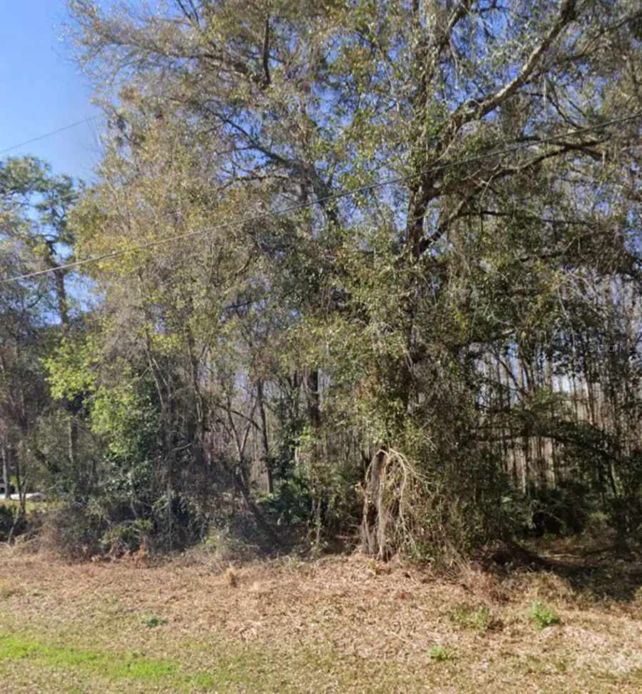 Key Lime, New Port Richey, FL 34654 - #2