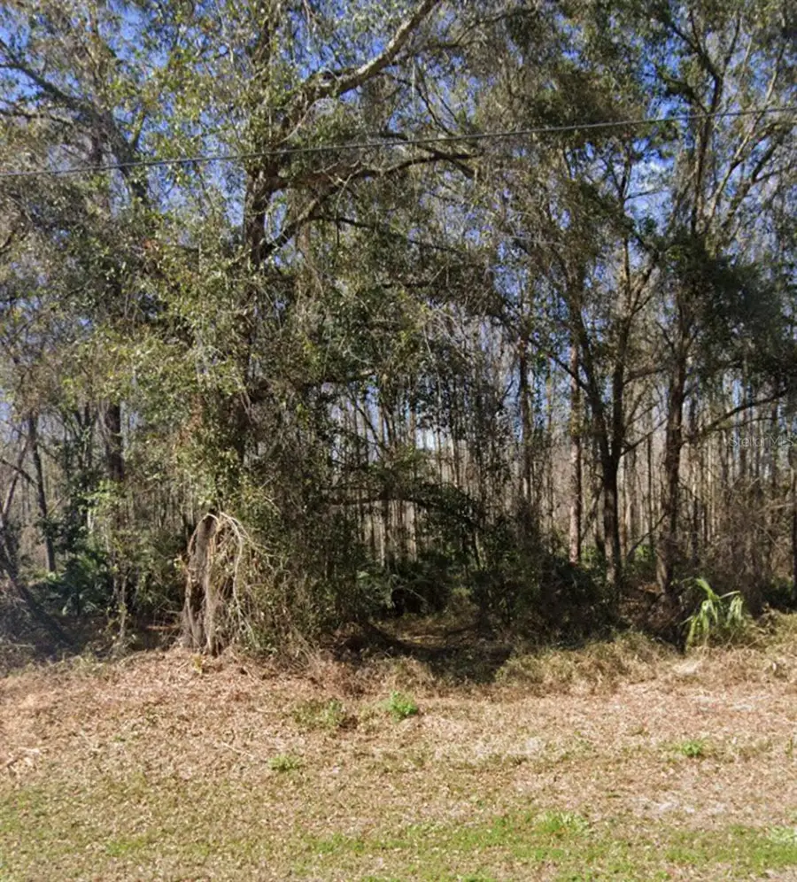 Key Lime, New Port Richey, FL 34654 - #3