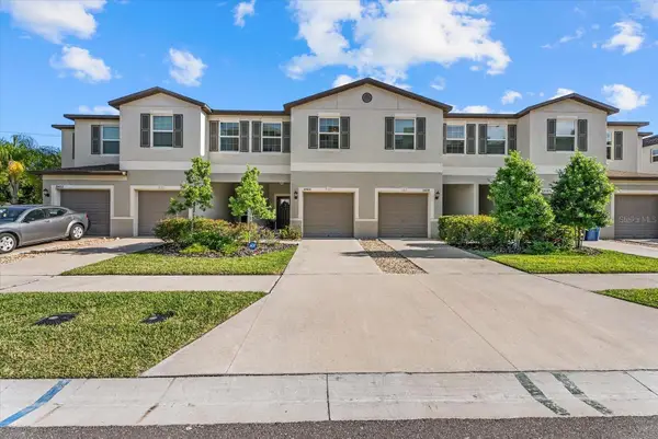 10426 Shady Preserve Drive, RIVERVIEW, FL 33578