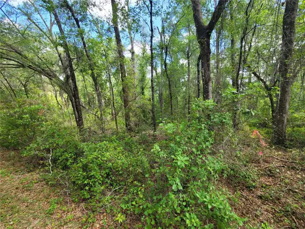 910 Ferncreek Avenue, INVERNESS, FL 34453