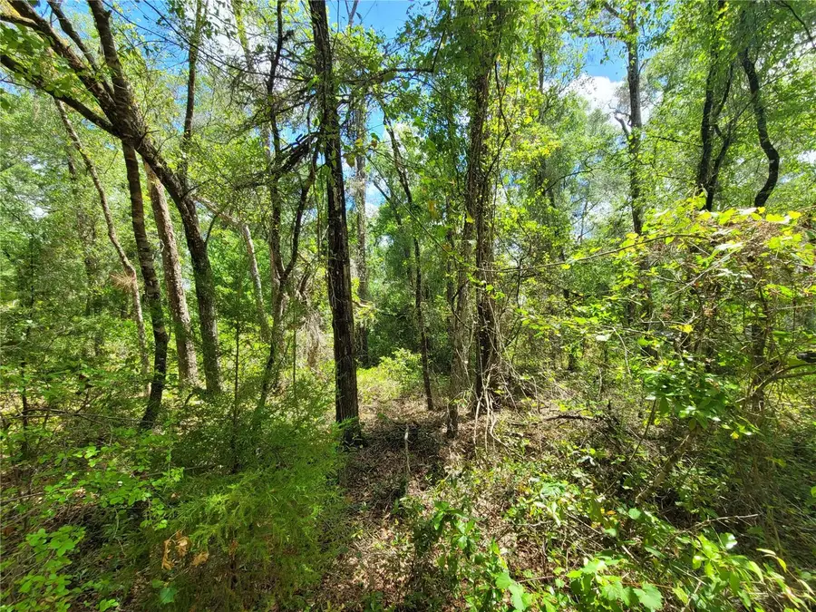 910 Ferncreek Avenue, Inverness, FL 34453 - #2