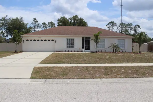 12124 Colonial Estates Lane, RIVERVIEW, FL 33579