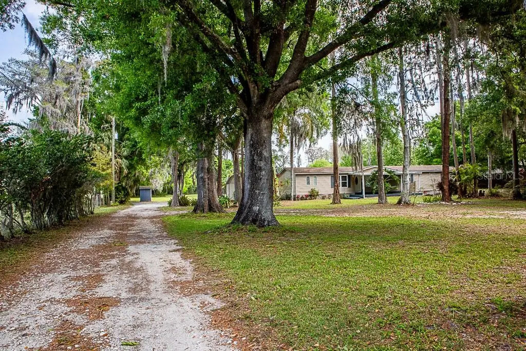 13815 Plainview Road, Odessa, FL 33556 - #1
